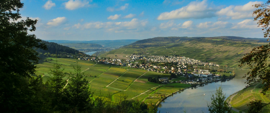 Mehring von der Mehringer-Schweiz